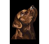 Labrador Notebook: Chocolate Lab: Labrador Retriever Composition Notebook 120 Blank Pages 6x9 Labrador Gift Book for Women Mommy Mom Girl Men Daddy Dad Dog Lover