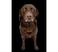 Labrador Notebook: Chocolate Lab: Labrador Retriever Composition Notebook 120 Dotted Pages 6x9 Labrador Gift Book for Women Mommy Mom Girl Men Dad Daddy Dog Lover