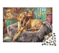 Labrador Retriever 1000 Piece for Adults & Kids Labrador on Fur Rug Fun Present & Activity for Home & Wall Decor 38x26cm/1000pcs