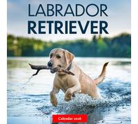 Labrador Retriever 2026 Calendar: Beautiful Labrador Retrievers in Stunning Photography - A Year of Loyalty, Joy, and Family Love