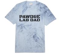 Labrador Retriever Dad Dog Owner Apparel Comfort Colors Adult Heavyweight T-Shirt
