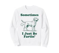 Labrador Retriever, Divertido, Vintage, a Veces Solo me Estoy tirando Pedos Sudadera