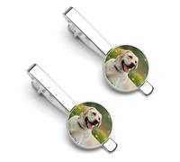 Labrador Retriever Dog Lazy Time - 2 clips de corbata divertidos para hombre, diseño de perro perezoso, 5.5x2.2cm, Cobre galvanizado