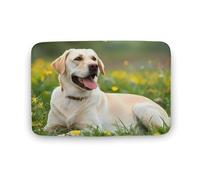 Labrador Retriever Dog Lazy Time - Tapete de cocina lavable para puerta de ducha, tapete para baño, sala de estar, 23.5 x 16, 31.5 x 20 pulgadas