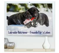 Labrador Retriever - Freunde für´s Leben (hochwertiger Premium Wandkalender 2026 DIN A2 quer), Kunstdruck in Hochglanz: Labrador Retriever - die seit ... Hunderasse, auf 13 zauberhaften Fotos