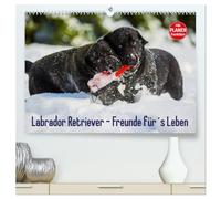 Labrador Retriever - Freunde für´s Leben (hochwertiger Premium Wandkalender 2026 DIN A2 quer), Kunstdruck in Hochglanz: Labrador Retriever - die seit ... Hunderasse, auf 13 zauberhaften Fotos