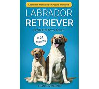 Labrador Retriever: From Puppy to Adult (0-24 Months)
