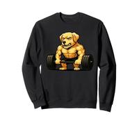 Labrador Retriever Halterofilia Culturista Entrenamiento Gimnasio Perro Sudadera