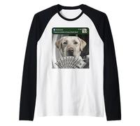 Labrador Retriever Hay Movimiento en tu Laboratorio de Puerta Principal Camiseta Manga Raglan