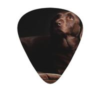 Labrador retriever marrón impreso,12 púas de guitarra, 3 grosores diferentes para guitarra acústica, bajo y ukelele