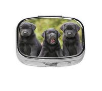 Labrador Retriever - Pastillero con 2 compartimentos, organizador portátil