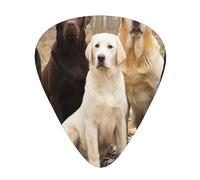 Labrador Retriever Perros Negro Dorado Blanco Marrón,12 púas de guitarra, 3 grosores diferentes para guitarra acústica, bajo y ukelele