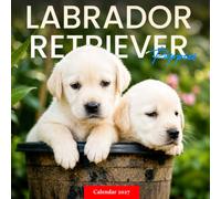 Labrador Retriever Puppies Calendar 2027: Playful Puppy Photography