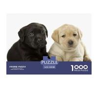 Labrador Retriever Puzzle 1000 Teile für Erwachsene und Kinder - Zwei Lab Welpen (Schwarz und Gelb) liegen zusammen - Wanddekoration & Tolles Geschenk - 52x38cm