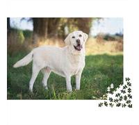 Labrador Retriever Puzzle Imposible,desafío para Adultos Yellow Lab Standing in Grassy Field Juego Educativo 1000 Piezas Obra De Arte De Juego De para Adultos Y Niños 70x50cm/1000pcs