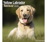 Yellow Labrador Retriever 2025 Square Wall Calendar | Dog Breed Calendar