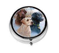 Labrador Retrievers, pastillero, pastillero cuadrado para bolsillo o monedero, pastillero pequeño, organizador de pastillas de viaje