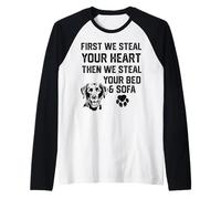 Labrador roba tu corazón roba tu cama y sofá calcetines Camiseta Manga Raglan