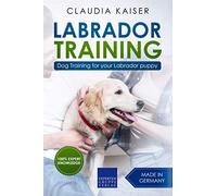Labrador Training: Dog Training for your Labrador puppy