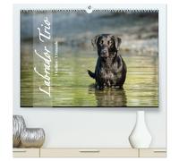 Labrador Trio - 3 Farben, 3 Freunde (hochwertiger Premium Wandkalender 2026 DIN A2 quer), Kunstdruck in Hochglanz: Draußen in der Natur, 3 Hunde