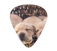 Labradores Cachorros Pequeños Golden Retriever,12 púas de guitarra, 3 grosores diferentes para guitarra acústica, bajo y ukelele