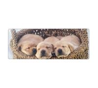 Labradores Cachorros Pequeños Golden Retriever,Alfombrilla de ratón Grande para Escritorio, Teclado de Ordenador, Base de Goma Antideslizante, 30 x 80 cm