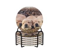 Labradores Cachorros Pequeños Golden Retriever,Posavasos Redondos de cerámica, Almohadilla para Tazas, Juego de 6 Posavasos para Bebidas