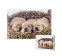 Labradores Cachorros Pequeños Golden Retriever,Rompecabezas de Madera de 1000 Piezas para Adultos y Adolescentes.