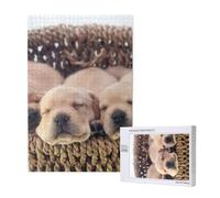 Labradores Cachorros Pequeños Golden Retriever,Rompecabezas de Madera de 1000 Piezas para Adultos y Adolescentes.