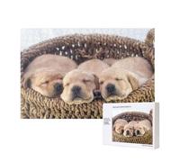 Labradores Cachorros Pequeños Golden Retriever,Rompecabezas de Madera de 300 Piezas, Juego Familiar, Rompecabezas para Adultos, Adolescentes, decoración del hogar