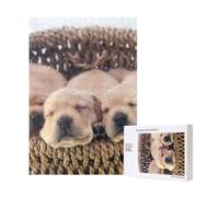 Labradores Cachorros Pequeños Golden Retriever,Rompecabezas de Madera de 300 Piezas para Adultos y Adolescentes.