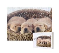 Labradores Cachorros Pequeños Golden Retriever,Rompecabezas de Madera de 500 Piezas, Juego Familiar, Rompecabezas para Adultos, Adolescentes, decoración del hogar