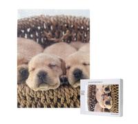 Labradores Cachorros Pequeños Golden Retriever,Rompecabezas de Madera de 500 Piezas para Adultos y Adolescentes.