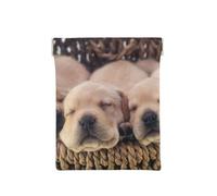 Labradores Cachorros Pequeños Golden Retriever, Squeeze Top Wallet Bolsa de Almacenamiento para Mujer Monedero pequeño Bolsa de Cambio