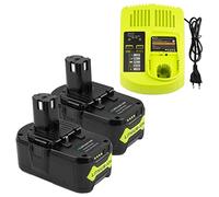 LabTEC RB18L50 Batería de Repuesto 18V 5Ah para Ryobi 2 Packs con Cargador de Doble Puerto P117 12V-18V One Plus Series - Juego de Carga USB para P107 P108 RB18L15 RB18L40