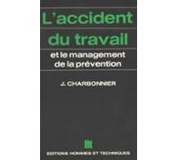 Laccident Du Travail Et Le Management De La Prévention (ebook)