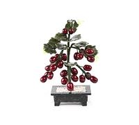 Lachineuse - Planta Decorativa de Vid de UVA (Feng Shui)