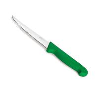 LACOR - 38380 - Cuchillo Multiusos Select, Cuchillo para Frutas y Verduras, Acero Inoxidable, Corte Firme y Equilibrado, Mango Verde Ergonómico y Antideslizante de TPV, 12.5 cm