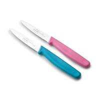 LACOR - 39085 - Cuchillos Cocina Profesional, Set Cuchillos Cocina, Set 2 Piezas, Cuchillo Mondador Cocina, Puntilla Lisa y Dentada, Acero Inoxidable, Serie Etern, Hoja 10 cm, Azul y Magenta