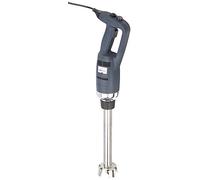 LACOR Brick Batidor Profesional de Serie Variable de 350 W y 30 cm, 5.3 tons, Acero inoxidable, No Color