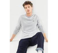 Lacoste Pull à col rond en coton XXL Gris
