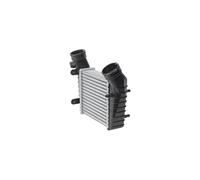 Ladeluftkühler HELLA Aluminio 230 mm-203 mm aletas soldadas para u.a. VW PASSAT