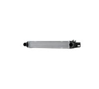 Ladeluftkühler HELLA Lijado Aluminio 540 x 82 mm para u.a. FIAT FIORINO