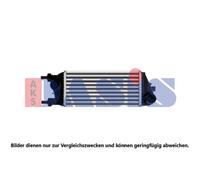 Ladeluftkühler Intercooler para Lancia Ypsilon 312_ 157032N EISENFELS 22552398