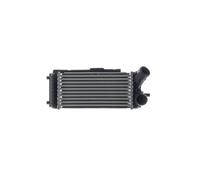 Ladeluftkühler MAHLE Aluminio Labetas Soldadas 300 mm-155 mm u.a. FORD C-MAX