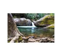 LADFRTYU Fondo Acuario Adhesivo Decorativo for Fondo de Acuario, póster for decoración pecera, Papel Tapiz Autoadhesivo Fondo Decorativo(50x80cm)