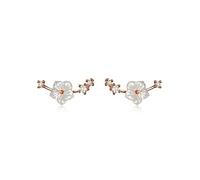 Ladies Fashion Elegant Small White Shell Flower Micro-Inlaid Zircon S925 Temperament High-End Earrings
