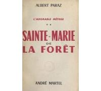 Ladorable Métisse (2). Sainte-marie De-la-forêt (ebook)