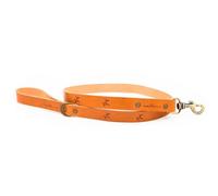 Ladran Gaucho Correa de cuero premium clasic para perros color marrón