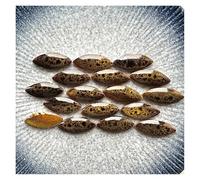 ladrillos de cristal mosaico de vidrio, Ceramic Mosaic Tiles Multicolor 100g DIY Craft Decoration(Color3)